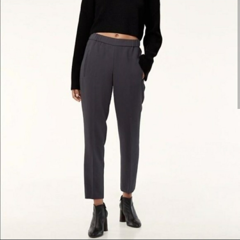 Aritzia Wilfred Darontal Pants